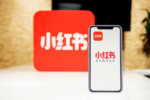小紅書創(chuàng)作者中心上線，為優(yōu)質(zhì)創(chuàng)作者帶來專業(yè)成長新機(jī)遇