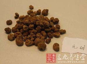中藥飲片國際化 東盟市場能否率先突破？